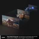 SMART TV Samsung OLED 65" 