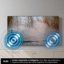 SMART TV Samsung OLED 65" 